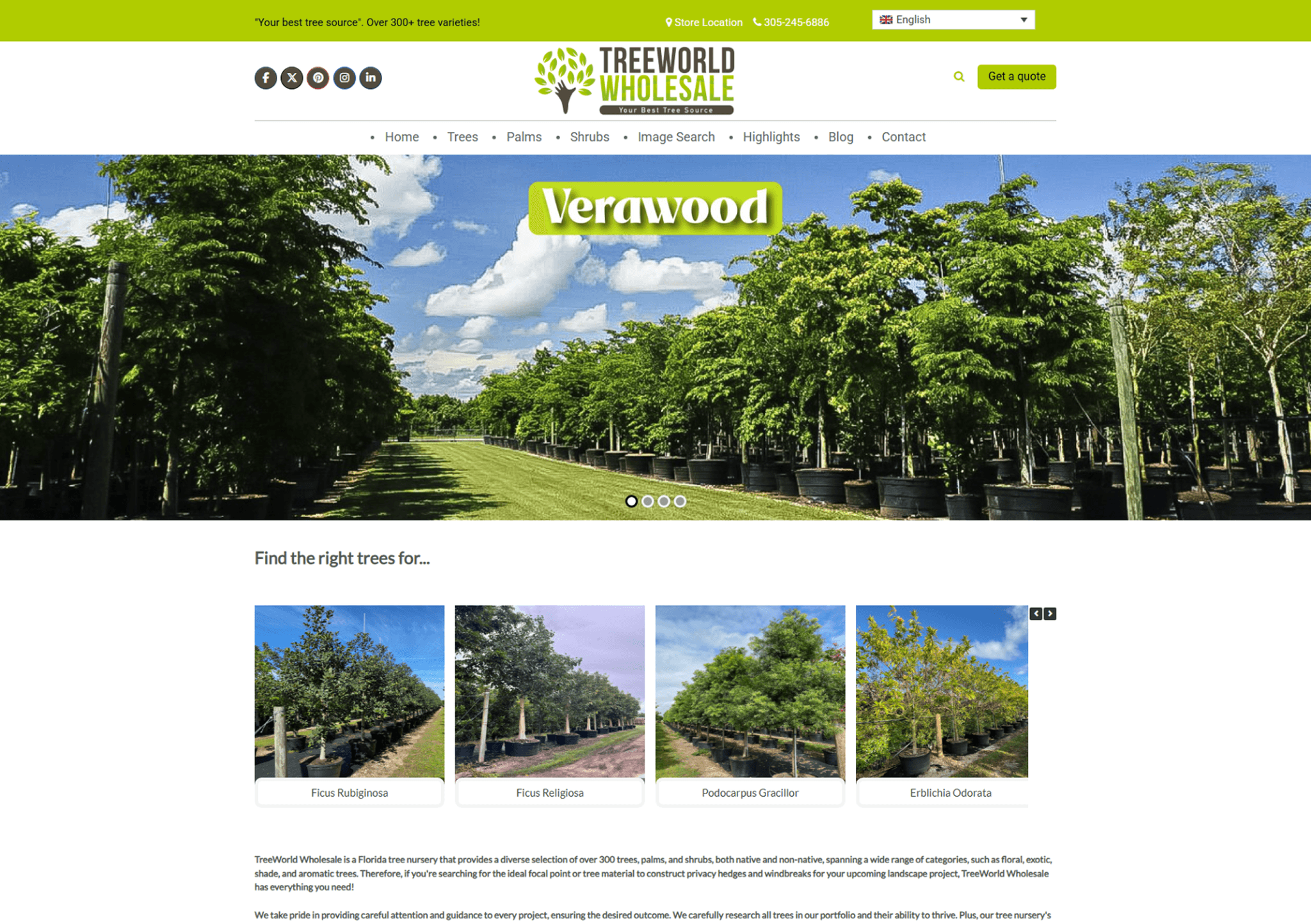 Treeworld Wholesale result preview
